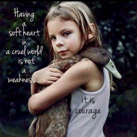 💕I SELL TO SUPPORT ANIMALS IN NEED💕 - Picture 5 of 16